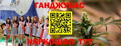 амф Гусев