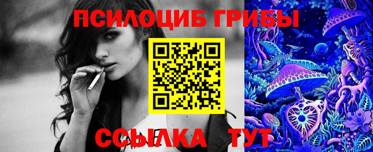 Галлюциногенные грибы Psilocybe Добрянка