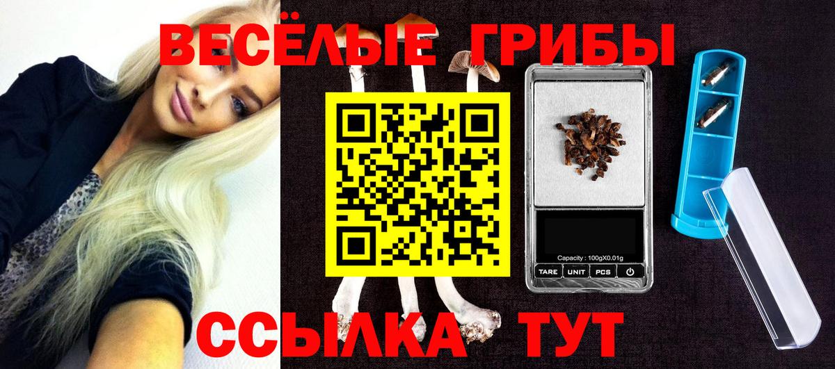 Галлюциногенные грибы MAGIC MUSHROOMS  Вход с VPN  магазин  наркотиков  Добрянка 